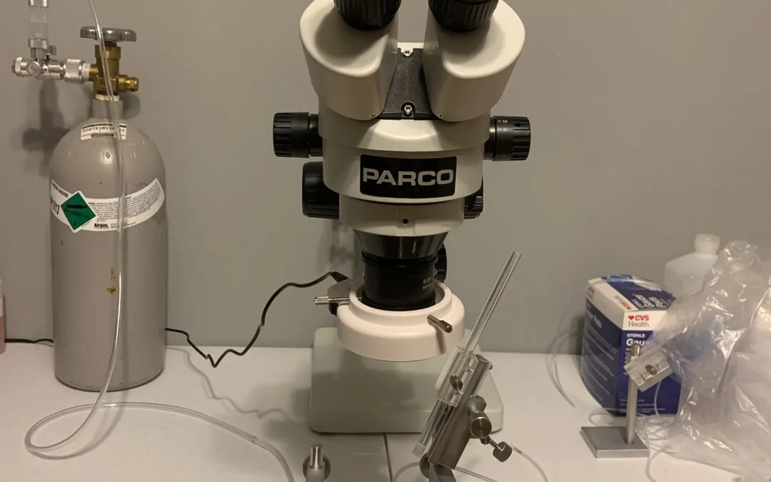 Instrumental Insemination Lab Equipment