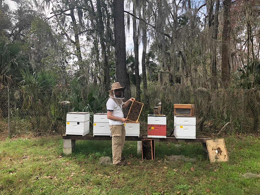 joe_uf_bees joe_uf_bees